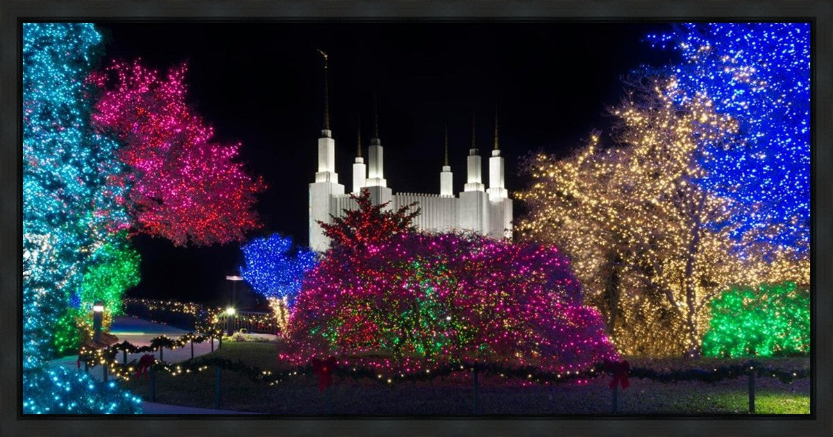 Washington DC Temple Colorful Christmas Gallery Wrap