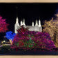 Washington DC Temple Colorful Christmas