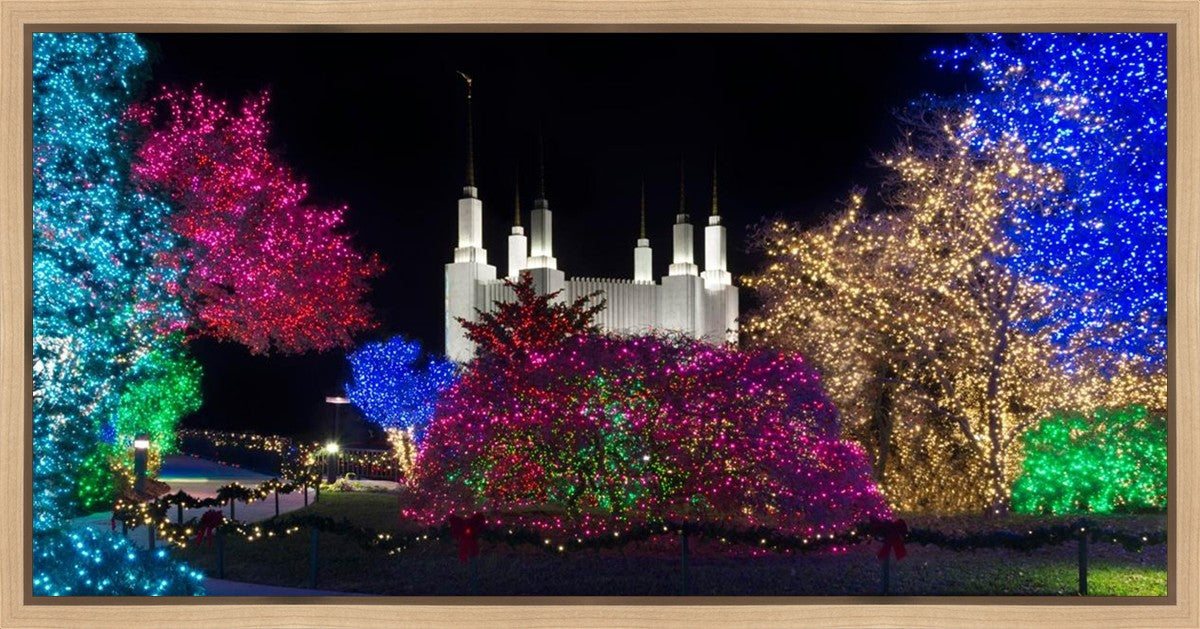 Washington DC Temple Colorful Christmas Gallery Wrap