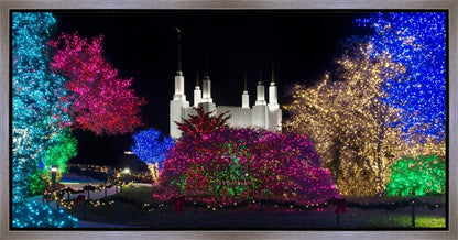 Washington DC Temple Colorful Christmas
