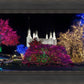 Washington DC Temple Colorful Christmas