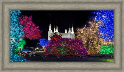 Washington DC Temple Colorful Christmas