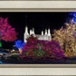 Washington DC Temple Colorful Christmas