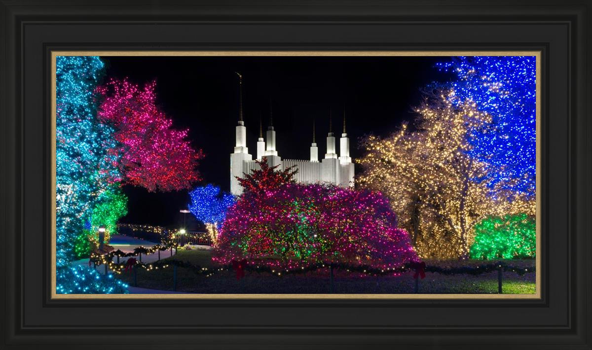 Washington DC Temple Colorful Christmas