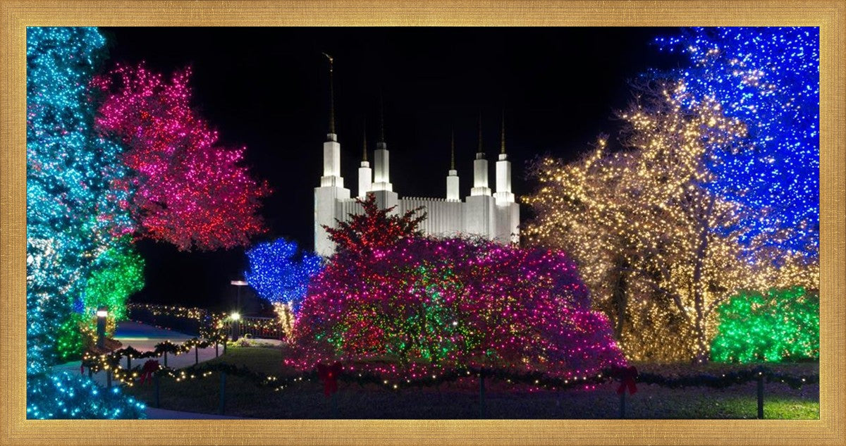 Washington DC Temple Colorful Christmas