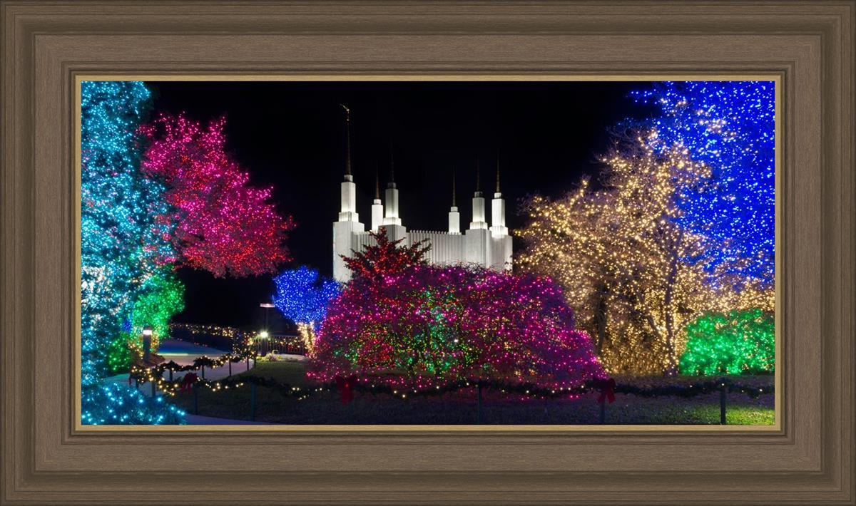 Washington DC Temple Colorful Christmas