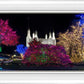 Washington DC Temple Colorful Christmas