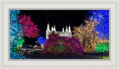 Washington DC Temple Colorful Christmas
