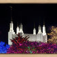 Washington DC Temple Colorful Christmas