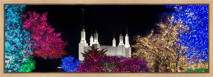 Washington DC Temple Colorful Christmas