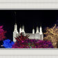 Washington DC Temple Colorful Christmas