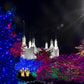Washington DC Temple Christmas Spirit