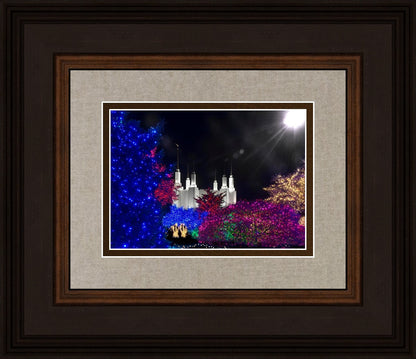 Washington DC Temple Christmas Spirit