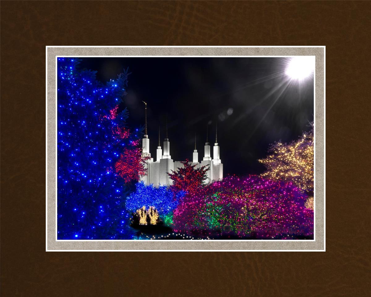 Washington DC Temple Christmas Spirit
