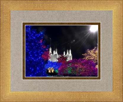 Washington DC Temple Christmas Spirit