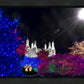 Washington DC Temple Christmas Spirit