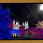 Washington DC Temple Christmas Spirit
