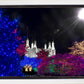 Washington DC Temple Christmas Spirit