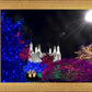 Washington DC Temple Christmas Spirit