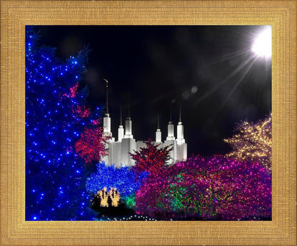 Washington DC Temple Christmas Spirit