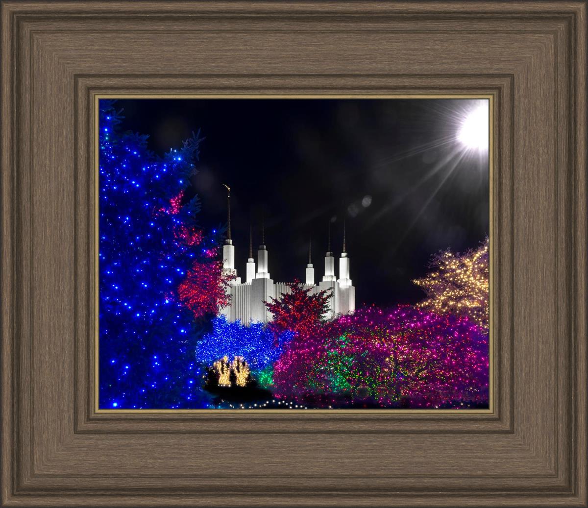 Washington DC Temple Christmas Spirit