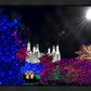 Washington DC Temple Christmas Spirit