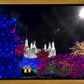 Washington DC Temple Christmas Spirit