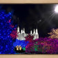 Washington DC Temple Christmas Spirit