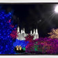Washington DC Temple Christmas Spirit