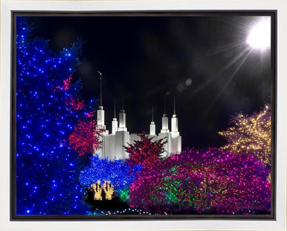 Washington DC Temple Christmas Spirit