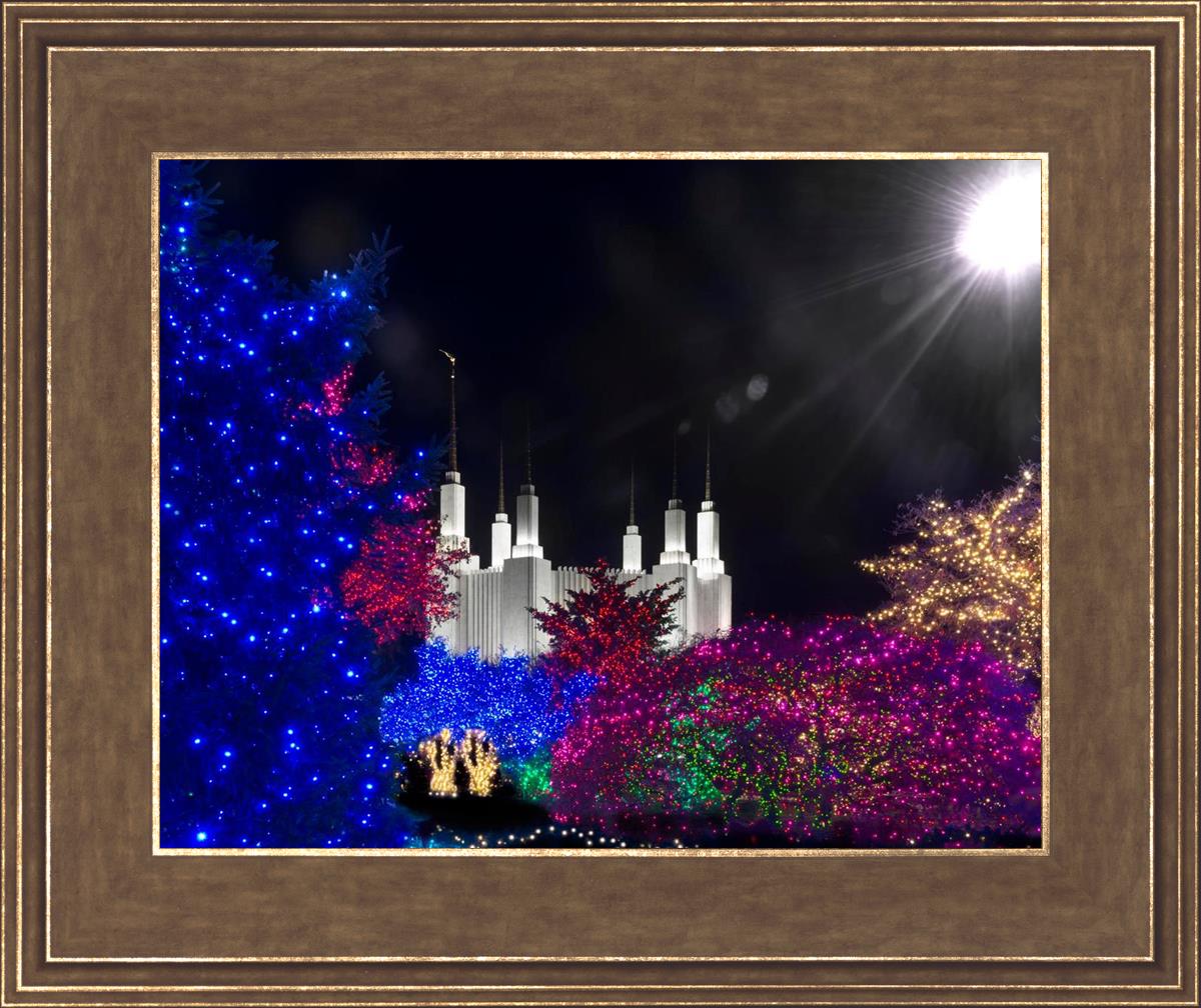 Washington DC Temple Christmas Spirit