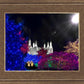Washington DC Temple Christmas Spirit