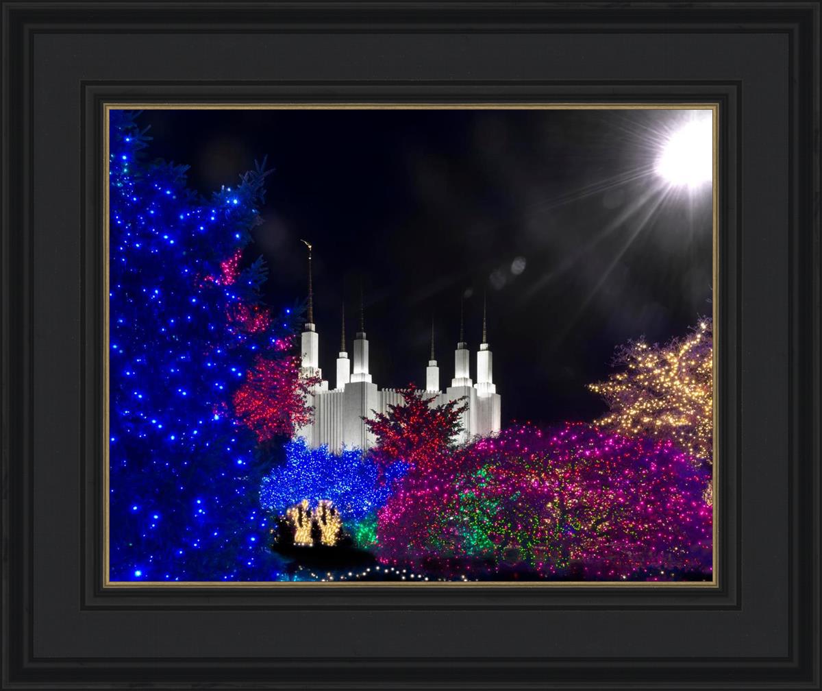 Washington DC Temple Christmas Spirit