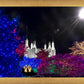 Washington DC Temple Christmas Spirit