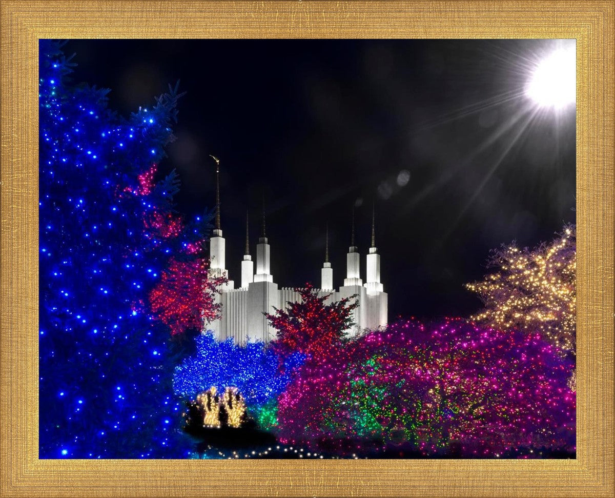 Washington DC Temple Christmas Spirit