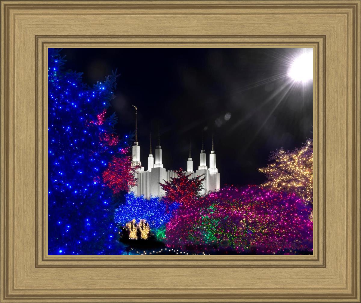 Washington DC Temple Christmas Spirit