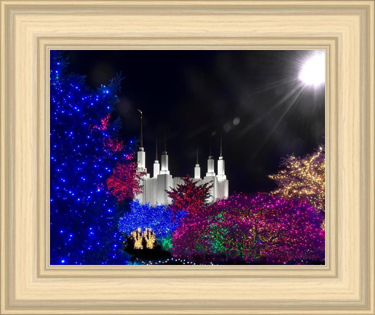 Washington DC Temple Christmas Spirit