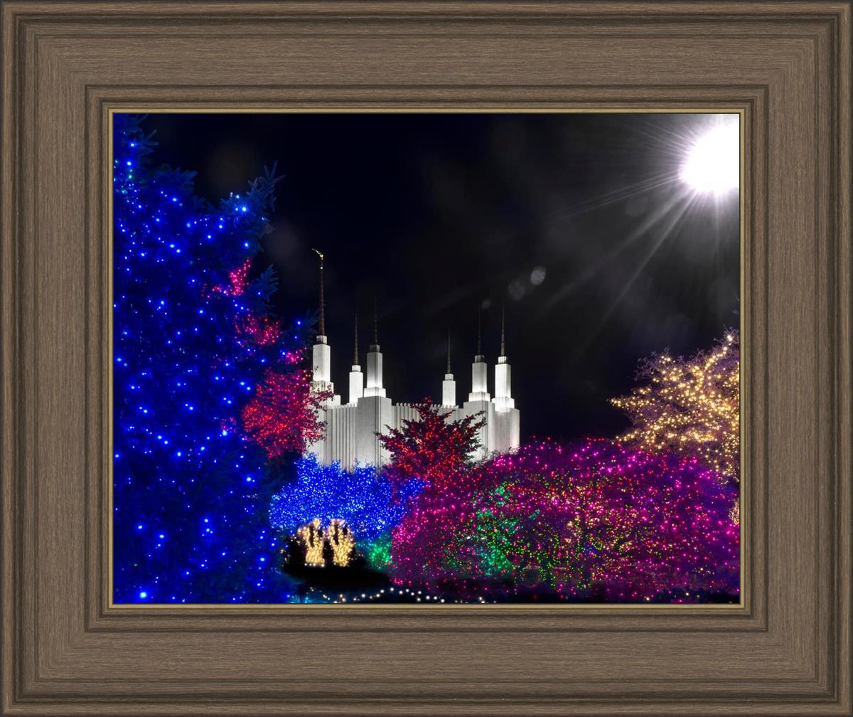 Washington DC Temple Christmas Spirit