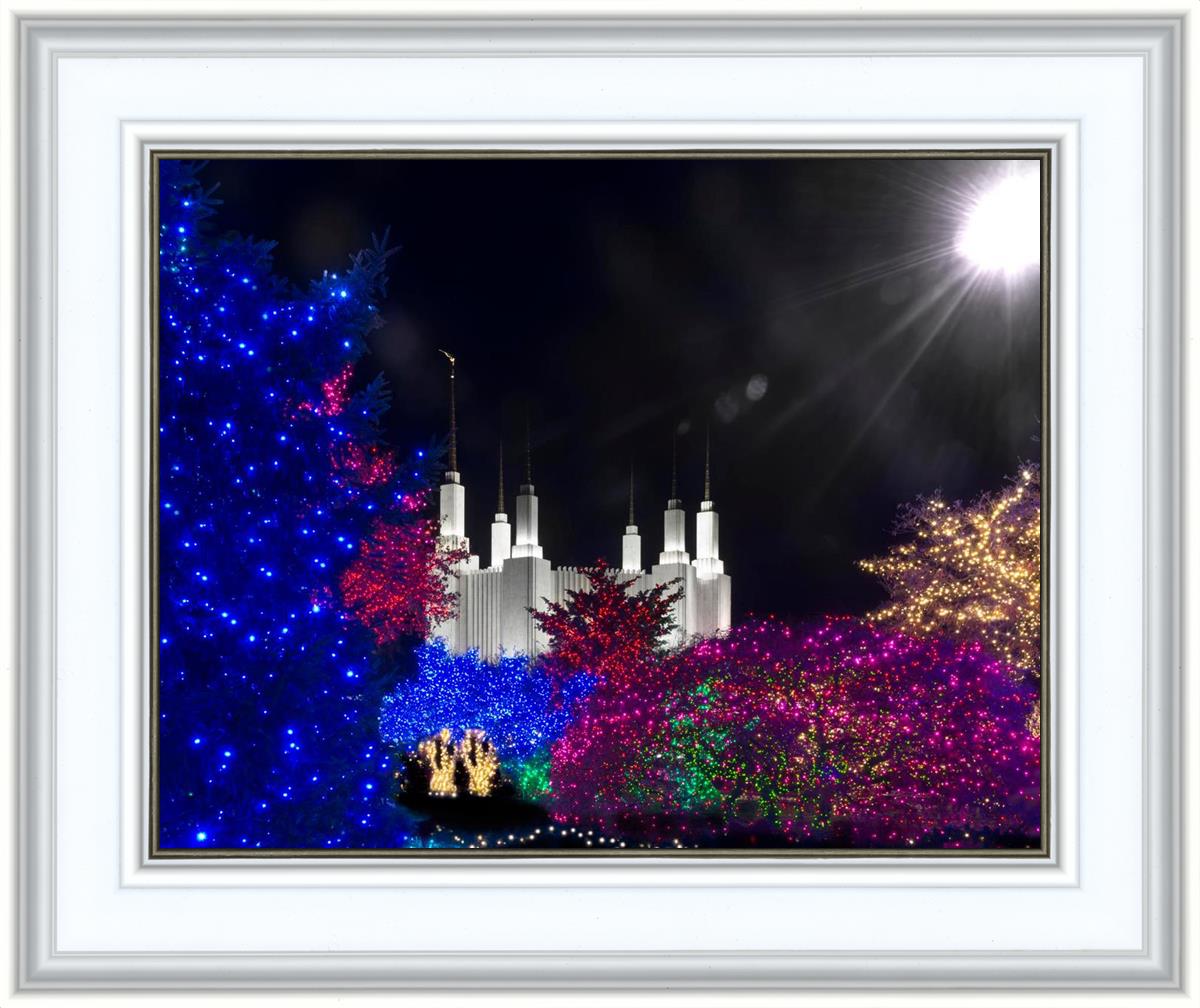 Washington DC Temple Christmas Spirit