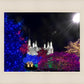 Washington DC Temple Christmas Spirit