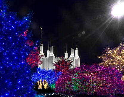 Washington DC Temple Christmas Spirit