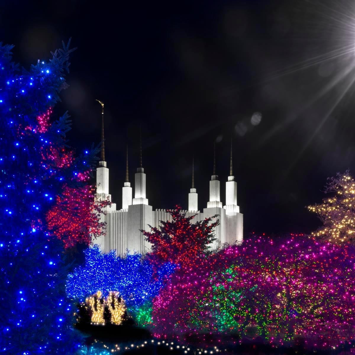 Washington DC Temple Christmas Spirit Gallery Wrap
