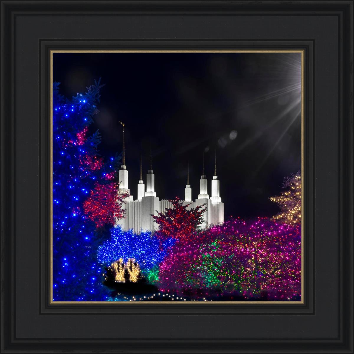 Washington DC Temple Christmas Spirit
