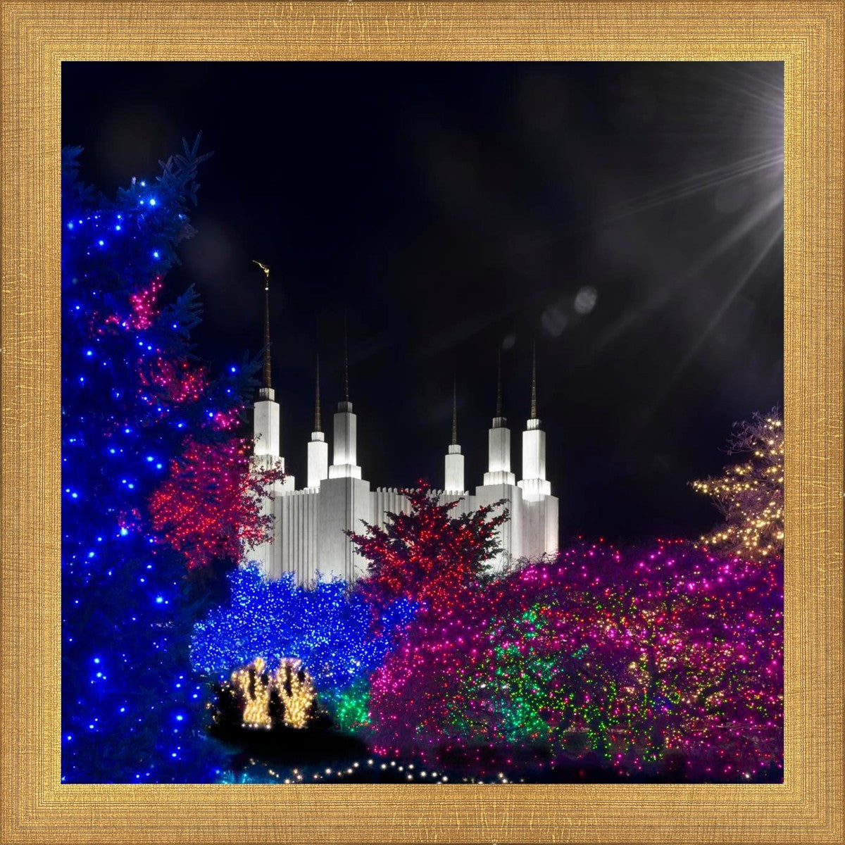 Washington DC Temple Christmas Spirit