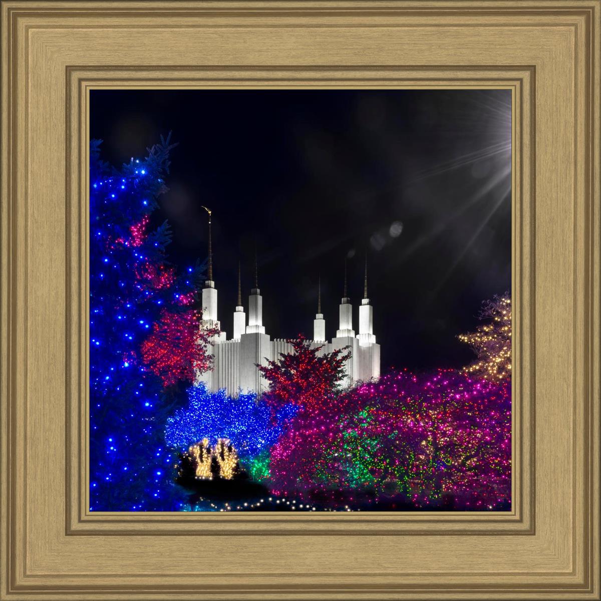 Washington DC Temple Christmas Spirit