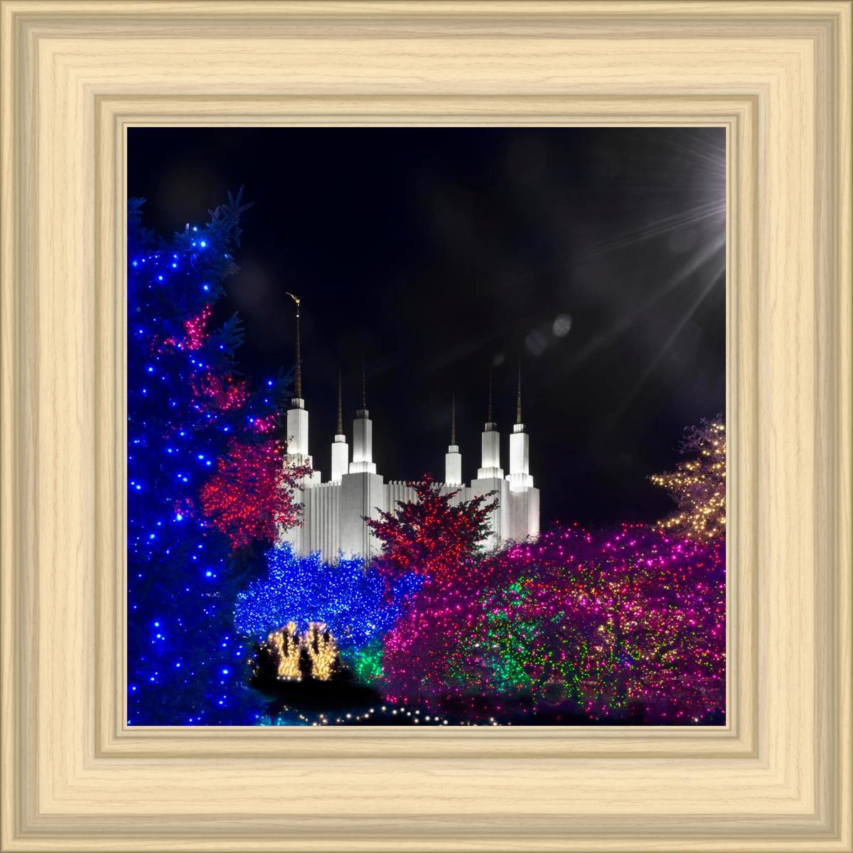 Washington DC Temple Christmas Spirit
