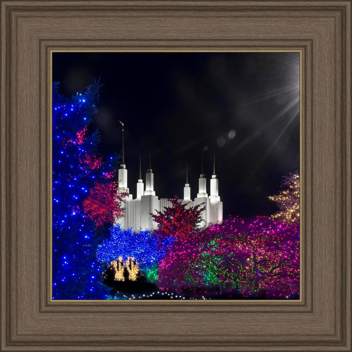 Washington DC Temple Christmas Spirit