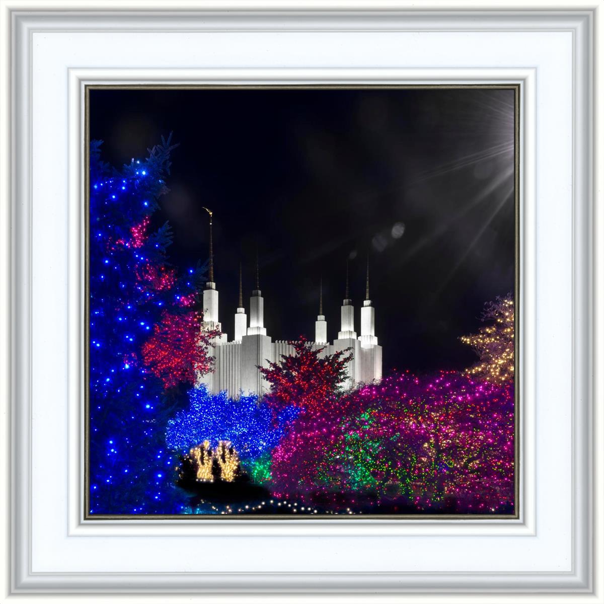 Washington DC Temple Christmas Spirit