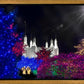 Washington DC Temple Christmas Spirit