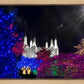 Washington DC Temple Christmas Spirit